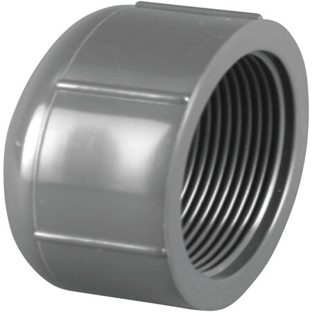 Charlotte Pipe And Foundry 1/2 In. FIP Schedule 80 Threaded PVC Cap PVC 08117  1000HA